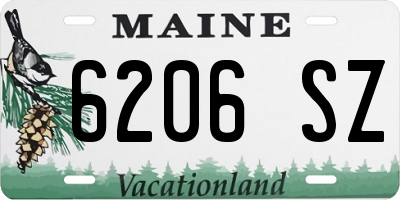 ME license plate 6206SZ