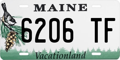 ME license plate 6206TF