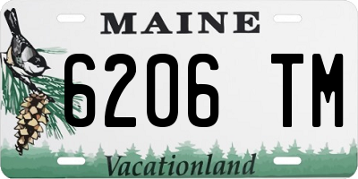 ME license plate 6206TM