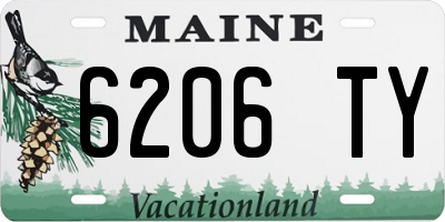 ME license plate 6206TY
