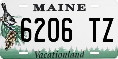 ME license plate 6206TZ