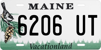 ME license plate 6206UT