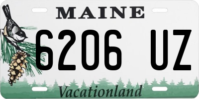 ME license plate 6206UZ