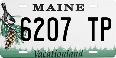 ME license plate 6207TP