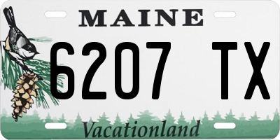 ME license plate 6207TX