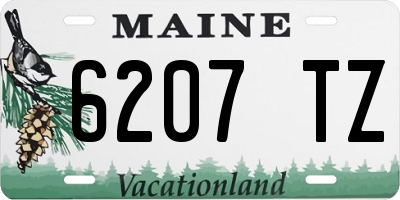 ME license plate 6207TZ