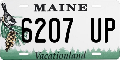 ME license plate 6207UP