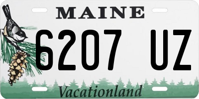 ME license plate 6207UZ