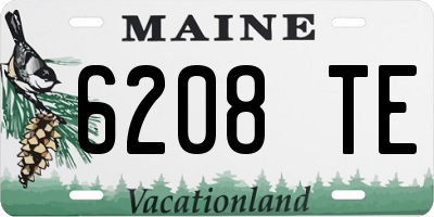 ME license plate 6208TE