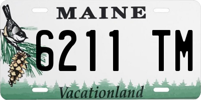 ME license plate 6211TM