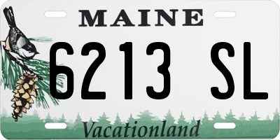 ME license plate 6213SL
