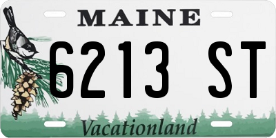ME license plate 6213ST