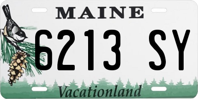 ME license plate 6213SY