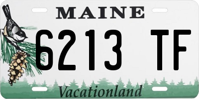 ME license plate 6213TF