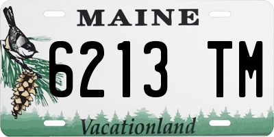 ME license plate 6213TM