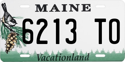 ME license plate 6213TO
