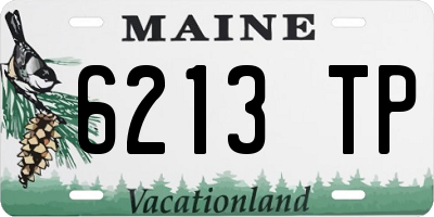 ME license plate 6213TP