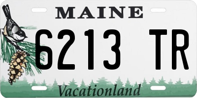 ME license plate 6213TR
