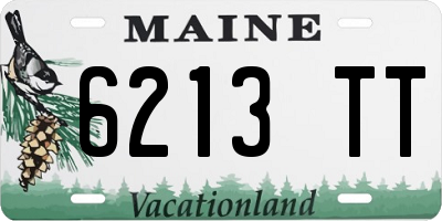 ME license plate 6213TT
