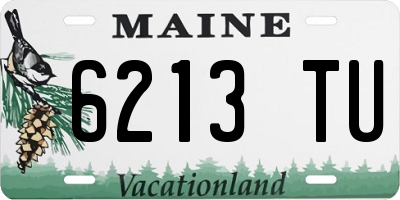 ME license plate 6213TU