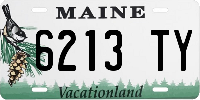 ME license plate 6213TY