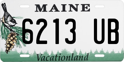 ME license plate 6213UB