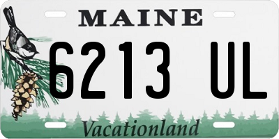 ME license plate 6213UL