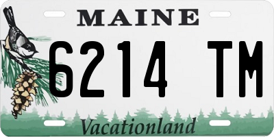 ME license plate 6214TM