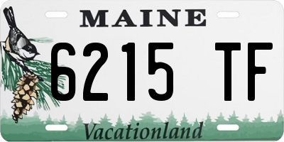 ME license plate 6215TF