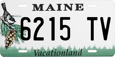 ME license plate 6215TV
