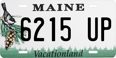 ME license plate 6215UP
