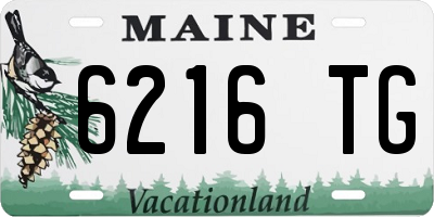 ME license plate 6216TG