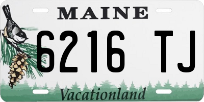 ME license plate 6216TJ