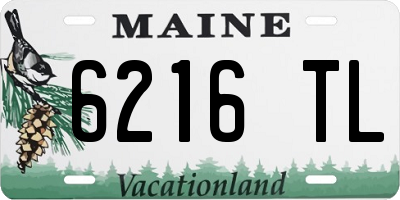 ME license plate 6216TL