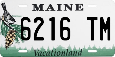 ME license plate 6216TM