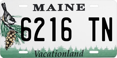 ME license plate 6216TN
