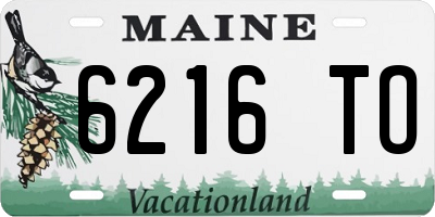 ME license plate 6216TO