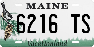 ME license plate 6216TS