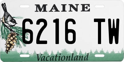 ME license plate 6216TW