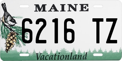 ME license plate 6216TZ