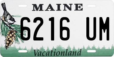 ME license plate 6216UM