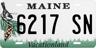 ME license plate 6217SN