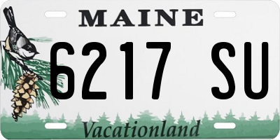 ME license plate 6217SU