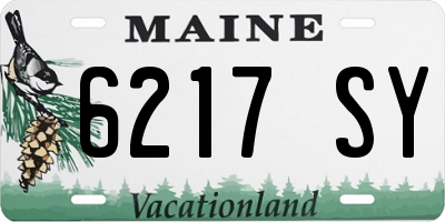 ME license plate 6217SY