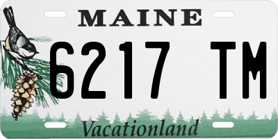 ME license plate 6217TM
