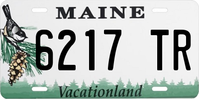ME license plate 6217TR