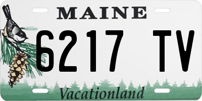 ME license plate 6217TV