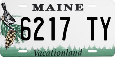 ME license plate 6217TY