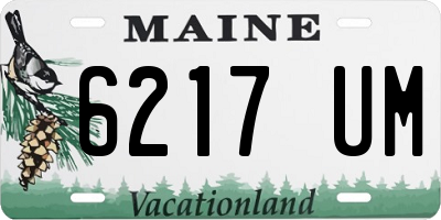 ME license plate 6217UM