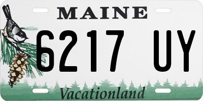 ME license plate 6217UY